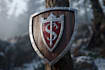 draw a medieval, fantasy, rpg gaming logo