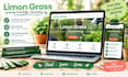 design a stunning wordpress website with hosting and domain