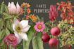 draw botanical illustration art for you