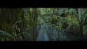 edit and color grade your vlog or movie