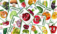 do kids card game, educational animal flashcards design memo card as a 2d artist