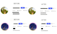 elevate your instagram id organic growth