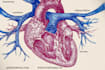 draw exercise, medical and anatomy illustrations