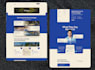 develop, revamp wordpress websites