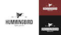 design creative hummingbird logo