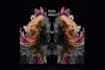 design and animate abstract album cover art