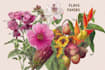 draw botanical illustration art for you