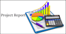 write business report, project summary, or executive brief