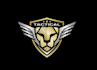 design a gorgeous tiger logo