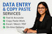 accurate data entry, copy paste and typing work
