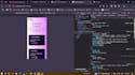 professional mern stack developer