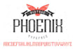 create professional typography and lettering logo design