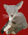 draw your cats portrait in a hand drawn adorable style
