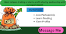 guide you professional market learning profitable strategies