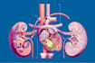 draw exercise, medical and anatomy illustrations