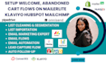 setup welcome,abandoned cart flows mailerlite klaviyo hubspot mailchimp omnisend