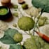do a watercolor botanical illustration