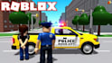 cruise and script anything you need as a professional roblox scripter