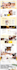 be full stack developer, front end web developer, full stack website deve