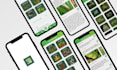 flutter mobile app development, android app, ios app, as a flutter developer