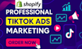 tiktok ads campaign tiktok ads manager tiktok video ads shopify dropshipping