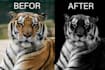 do photoshop editing, background removel and  change