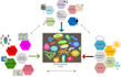 do scientific writing, modeling and editing