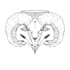 custom tatto design for you