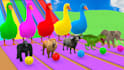 create stunning 3d animal animation