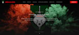 build a responsive, high converting website for your business