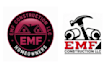 do professional carpet logo design 24 hour