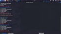 develop a professional python vulnerability scanner