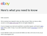 clean ebay data, remove suspended account traces, and reset store