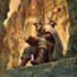 create your fantasy science fiction superhero character