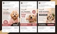 set up and manage facebook ads, conversion with fb pixel and meta ads