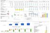 do financial statements, ratio analysis, projections, dcf, and reports