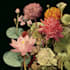 draw fineline botanical delicate flowers