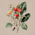 draw a realistic botanical drawing