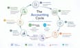 do setup, clean up, catch up bookkeeping in qbo and xero