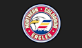create  beautiful excellent eagle logo