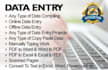 do fast and accurate data entry in excel and word