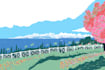 create custom illustration from your photo