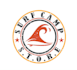 design professional surfboard logo