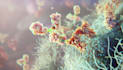 do 2d 3d medical, surgical, and healthcare animations with device and animation
