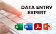do bulk excel data entry copy paste and data professionally