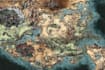 create a fantasy map for you