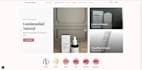 a custom high performance web application
