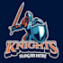 make an amazing knight logo design in one day