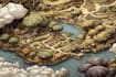 draw a professional top down fantasy map for you