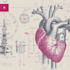 draw anatomy and medical vector illustration